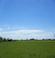 Sunny Sunny